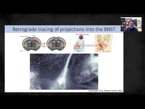 USU Amygdala, Stress and PTSD Conference - Danny Winder, Ph.D.