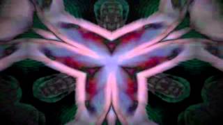 Can&#39;t Believe You (Steve Kilbey  The Idyllist)