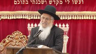 009מצוות ומדות-בראשית כ''ב-כ''ד (הרב יורם סרי) - התמונה מוצגת ישירות מתוך אתר האינטרנט יוטיוב. זכויות היוצרים בתמונה שייכות ליוצרה. קישור קרדיט למקור התוכן נמצא בתוך דף הסרטון