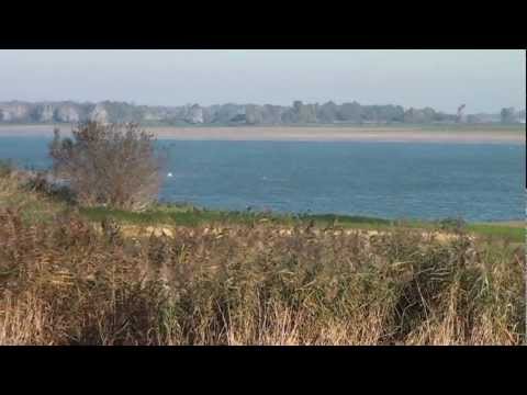 6 Van natuurtuin Pierre Tavernier tot het land van de kraanvogels dijk La Grange 10u40