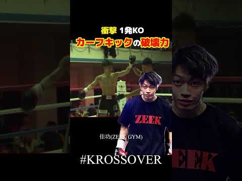 【カーフキック】衝撃KO #krossover #mma #格闘 #格闘技 #ko集 #fight #キックボクシング #kickboxing #カーフキック