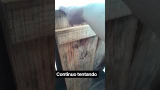 14 de outubro de 2026