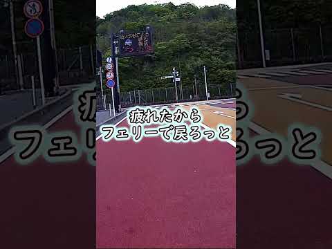 フェイク？騙された ナンバーローマ字表記 #shorts #motorcycle #flowers