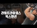 라잉 트라이셉스 익스텐션 l 삼두근 운동의 가장 대표적인 운동