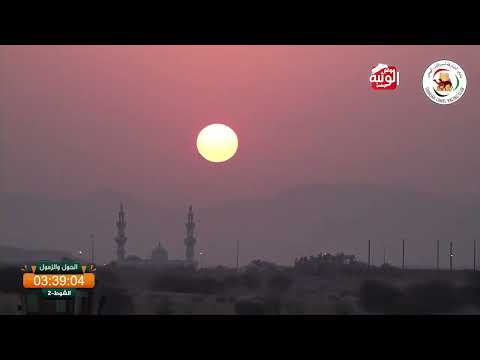 2 aldhaid