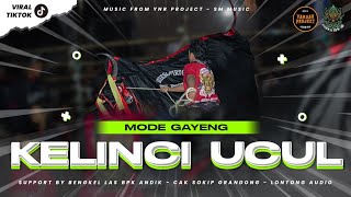 Download lagu LET'S JOIN THE PARTY GAYENG 🎶 DJ BANTENGAN KELINCI UCUL❗MAHESO TIRTO AJI BY @Ynrprjct_ mp3