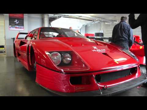 Ferrari F40 LM version walkaround