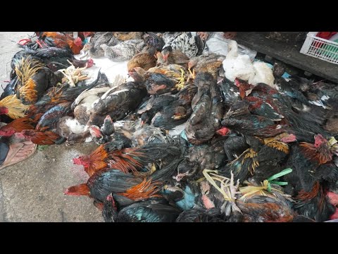 Morning Food Market Scenes at Phsa Chhbar Ampov - Walk Around Street Food @Vegetables Market