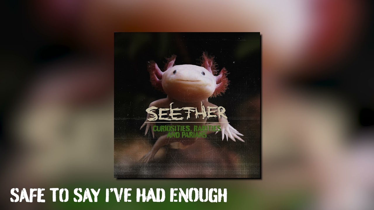 Seether - Safe to Say I've Had Enough