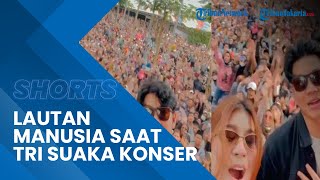 Viral Video Lautan Manusia saat Tri Suaka Konser di Subang, Tak Pakai Masker dan Tak Berizin