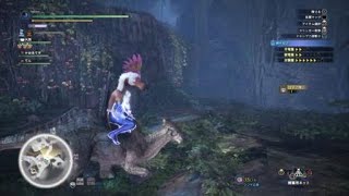導きの地での奇跡こんなことまであるのね(笑)