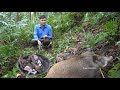 Wild Boars Continue To Give Birth Robert Develops The Farm Green Forest Life