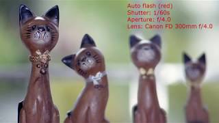 Download lagu Canon Speedlite 199A External Flash Review And Overview mp3 Download lagu Canon Speedlite 199A External Flash Review And Overview mp3