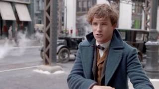 Fantastic Beasts • Eddie Redmayne video