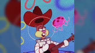 N.E.R.D Sandy Squirrel (slowed &amp; reverb)