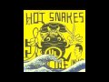 The Hot Snakes: Why Does It Hurt