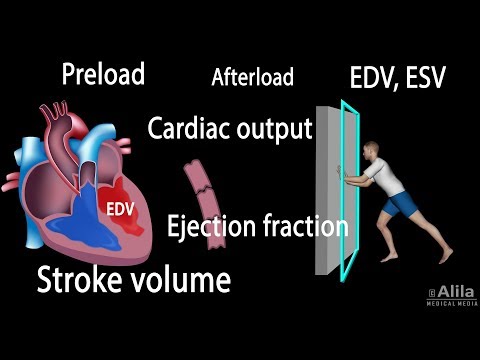 image-What is meant by stroke volume?