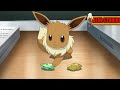 POKEMON MASTER JOURNEYS Chloe S Eevee Can T Evolve By Evolution Stones ENGLISH DUBBED