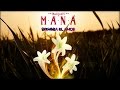 Maná | "Siembra el Amor" | Cuando los ángeles lloran | HD