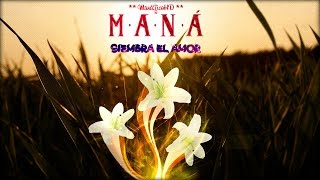 Maná | &quot;Siembra el Amor&quot; | Cuando los ángeles lloran | HD