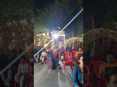 प्रस्तुति #4