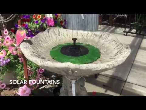 Solar Panels On Grow Aquaponically Solar Lily Pad Fountains