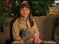 Mike S Super Short Show Bambi DVD Disney Channel DISNP 55 Feb 20 2005