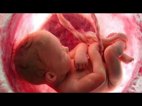 Surah Al-Muminun। Qari Mohammad (23: V12-16) সূরা আল মুমিনুন ১২-১৬ বাংলা অনুবাদ @derakib1234