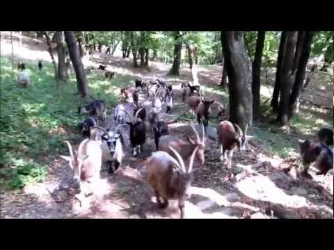 2012trip18 - Lake Como trail from Onno