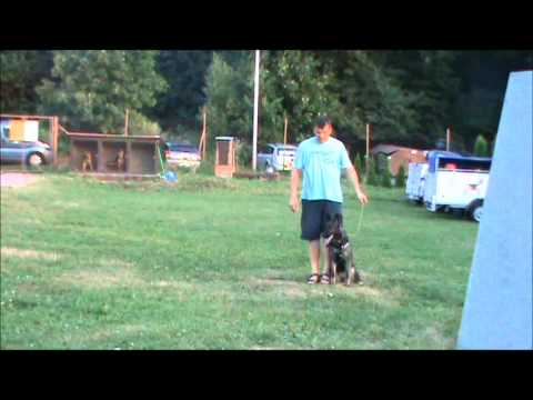 Elyscha z Jukasu - protection - 22 months