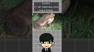 Download lagu Inilah jenis-jenis suara katak mp3 Download lagu Inilah jenis-jenis suara katak mp3