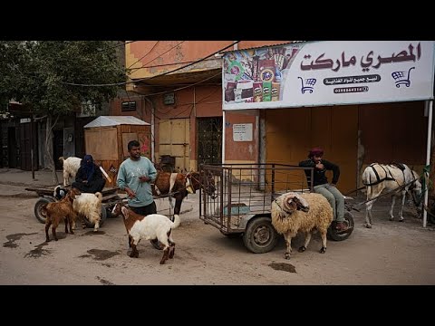 Video Thumbnail: Gaza’s displaced brace for a bleak Eid al‑Adha amid war and soaring prices