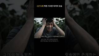 Download lagu The bizarre final appearance captured on CCTV mp3