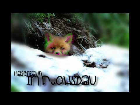 Hasenzahn - Kein Ende (Im Fuchsbau EP)