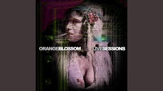 Pitcha - Jerusalem (Blossom Live Sessions)
