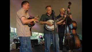 Bluegrass Boogiemen  -   Let's Turn Back The Years  -   Cold , Cold Heart