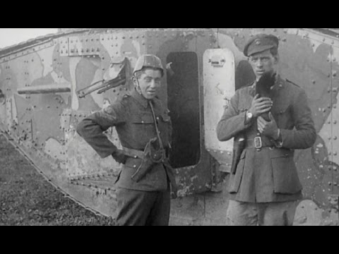 WoT - Percy the tank cat