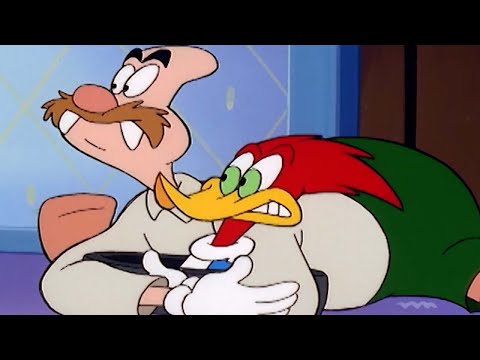 Escaping the snow | Woody Woodpecker