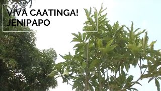 Miniatura do vídeo
