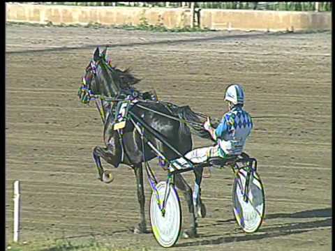 Trotto 14/05/2017 - 8ª corsa - TRIS