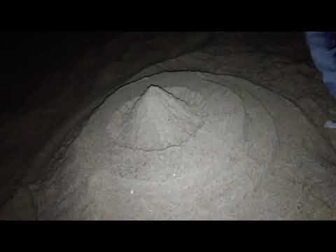 Sand Art At puri Sea beach 2019