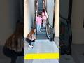 Stretched An Invisible Rope Tiktok
