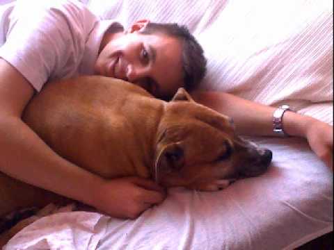 Jenny my  lovely pitbull