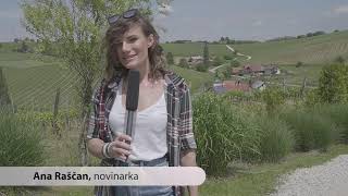 TV Veseljak, snemanje videospota, 2019