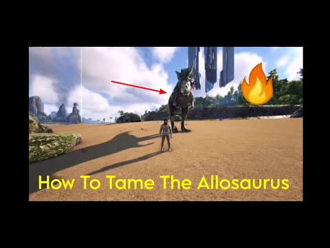 How To Tame The Allosaurus in Ark Survival Evolved (Easy)!!
