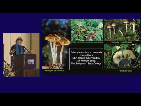 Paul Stamets: Psilocybin Mushrooms & The Mycology of Consciousness