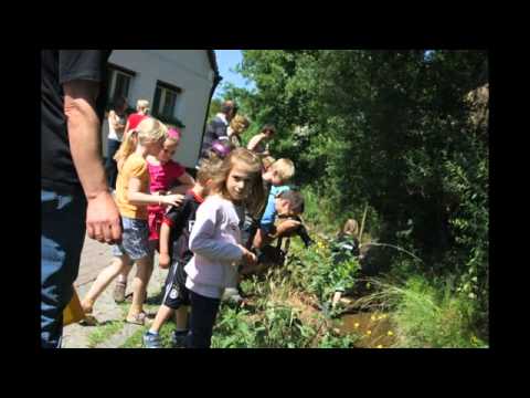 Vatertagsfeier des Eintracht-Frankfurt-Fanklubs Fuchselöcher Weilbach e. V.