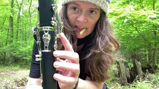 Video thumbnail for Backun Alpha Clarinet Review by The Clarinet Project