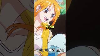 해군 잡졸보다 못한 밀짚모자 해적단 패기 설정