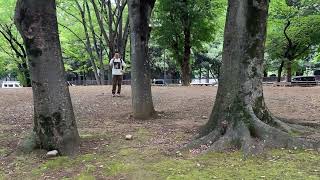 「隙間タワー」の魅力を楽しみ、そして学ぶ 2